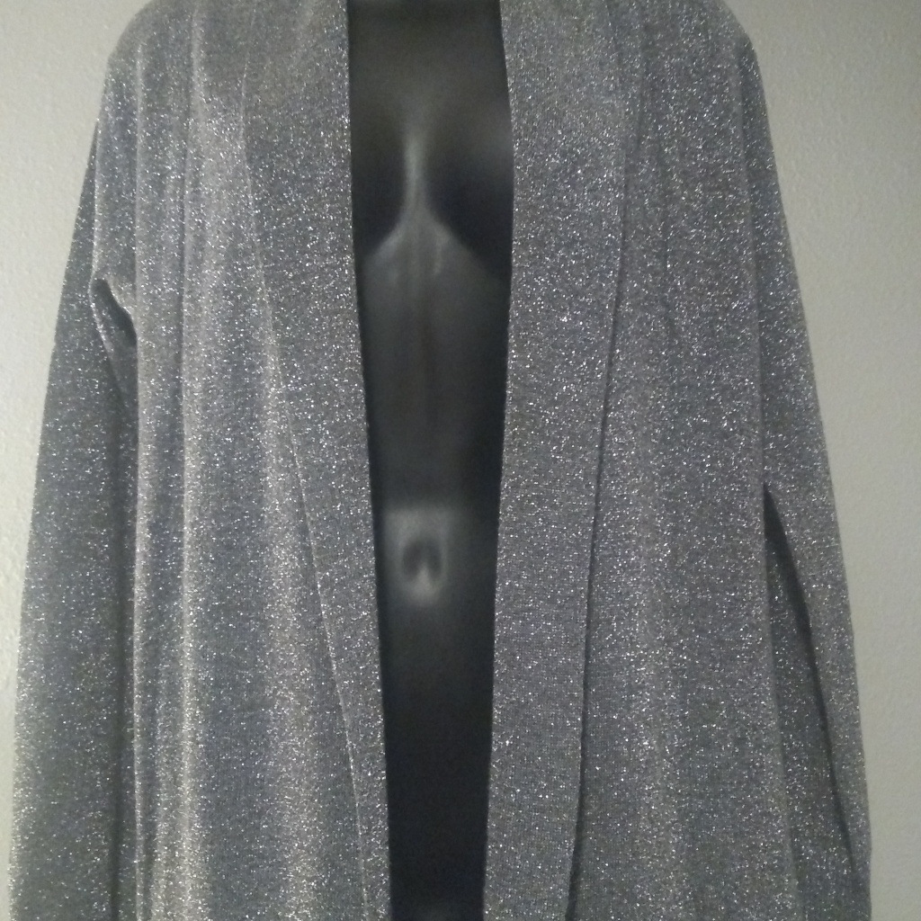 Red Silver Blazer